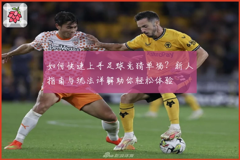 如何快速上手足球竞猜单场？新人指南与玩法详解助你轻松体验
