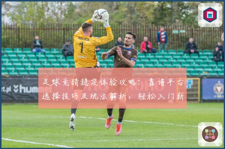 足球竞猜稳定体验攻略：靠谱平台选择技巧及玩法解析，轻松入门新手不再迷茫