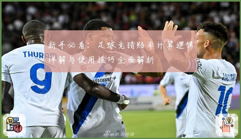 新手必看：足球竞猜赔率计算逻辑详解与使用技巧全面解析